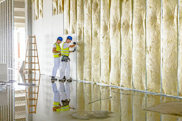 Best Residential Insulation in Dranesville, VA
